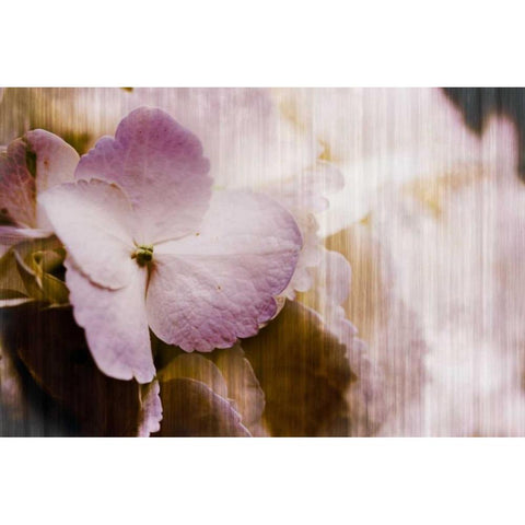 Summer Home I Black Modern Wood Framed Art Print with Double Matting by Slivka, Jane