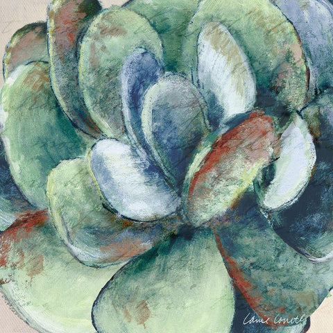 Wonderful Succulent White Modern Wood Framed Art Print with Double Matting by Loreth, Lanie