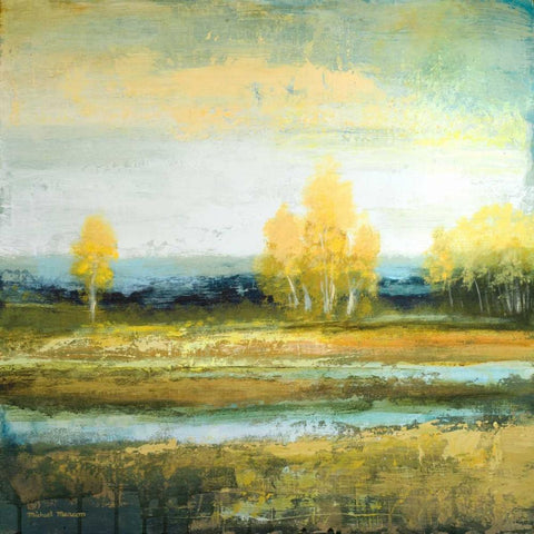 Marsh Lands I Black Modern Wood Framed Art Print with Double Matting by Marcon, Michael