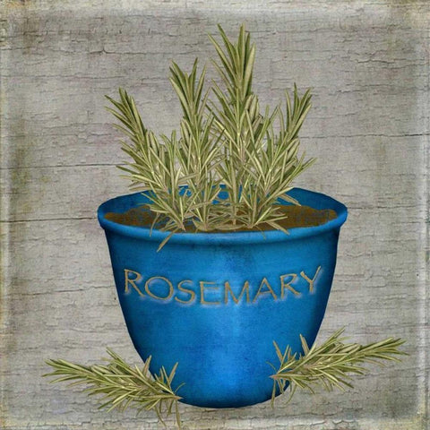 Herb Rosemary White Modern Wood Framed Art Print by Albert, Beth