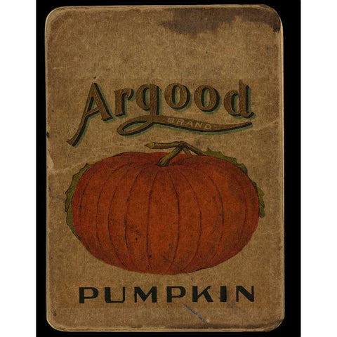 Vintage Pumpkin White Modern Wood Framed Art Print by Albert, Beth