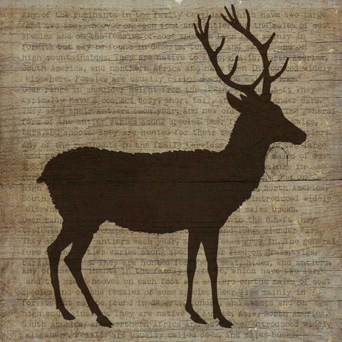 Deer Gold Ornate Wood Framed Art Print with Double Matting by Albert, Beth