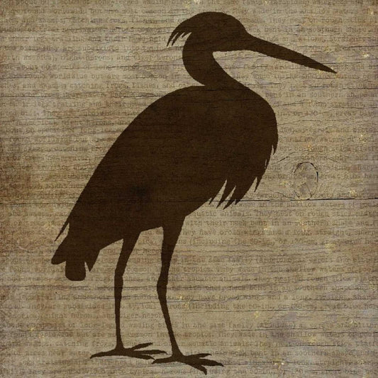 Image Only