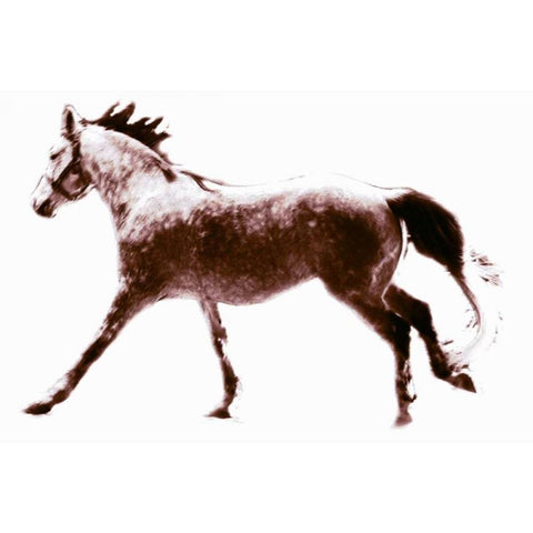 Horse 6 White Modern Wood Framed Art Print by Hoffman, Kate