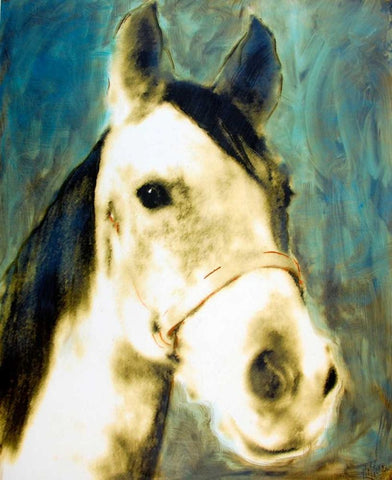 Portrait of Tony White Modern Wood Framed Art Print with Double Matting by Hoffman, Kate