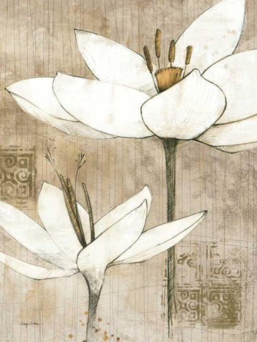 Pencil Floral I White Modern Wood Framed Art Print with Double Matting by Tillmon, Avery