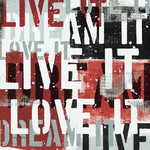 Live the Dream Black and White I Black Modern Wood Framed Art Print by Mullan, Michael