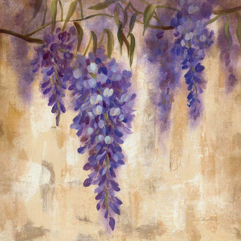 Wisteria Bloom II White Modern Wood Framed Art Print with Double Matting by Vassileva, Silvia