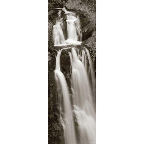 Kentucky Falls Panel Black Modern Wood Framed Art Print with Double Matting by Audit, Lisa