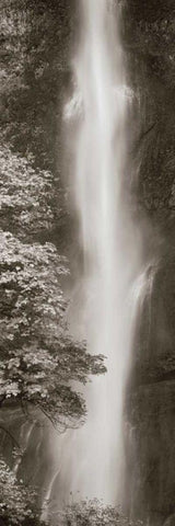 Multnomah Falls Panel Black Ornate Wood Framed Art Print with Double Matting by Audit, Lisa