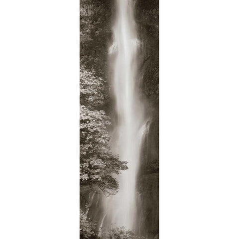 Multnomah Falls Panel Black Modern Wood Framed Art Print by Audit, Lisa