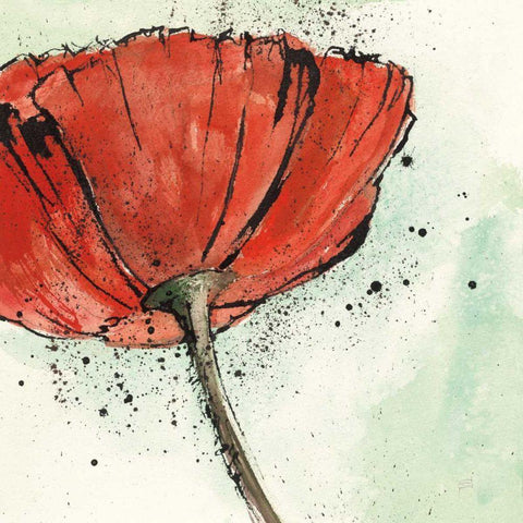 Not a California Poppy I White Modern Wood Framed Art Print with Double Matting by Paschke, Chris