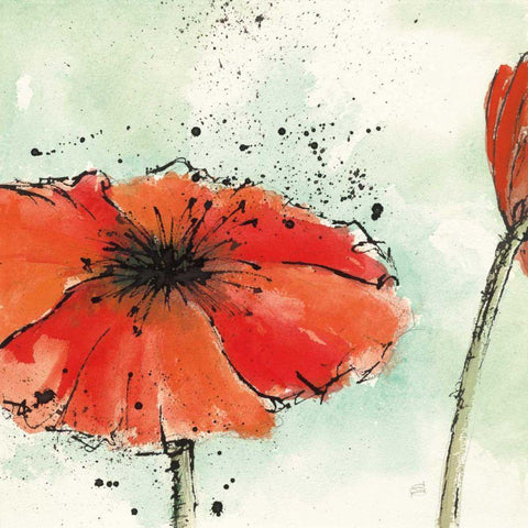 Not a California Poppy III White Modern Wood Framed Art Print by Paschke, Chris