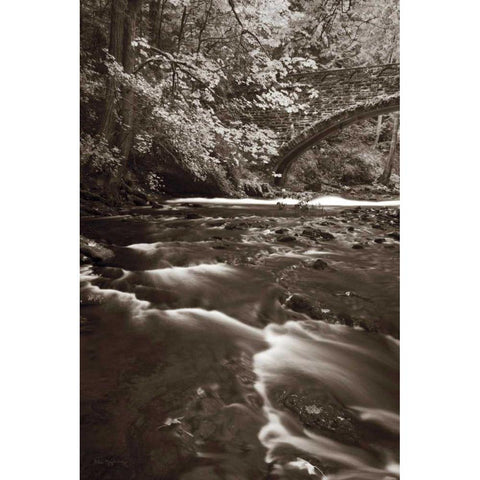Whatcom Creek Black Modern Wood Framed Art Print by Audit, Lisa