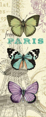 Air Mail Butterfly Panel I Black Ornate Wood Framed Art Print with Double Matting by Pelletier, Alain