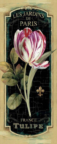 Garden View IV Black Black Ornate Wood Framed Art Print with Double Matting by Audit, Lisa