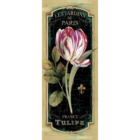 Garden View IV Black Black Modern Wood Framed Art Print by Audit, Lisa