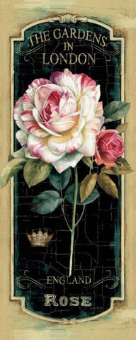 Garden View V Black Black Ornate Wood Framed Art Print with Double Matting by Audit, Lisa