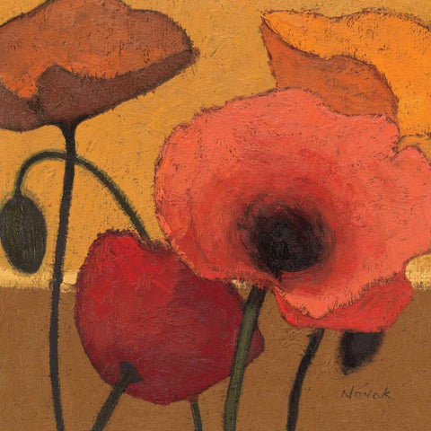 Poppy Curry I Black Modern Wood Framed Art Print with Double Matting by Novak, Shirley