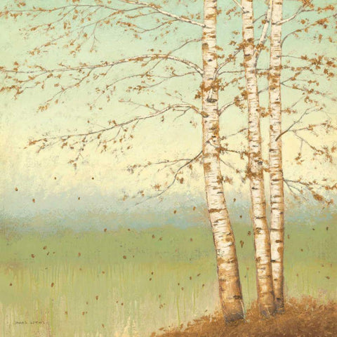 Golden Birch II with Blue Sky Black Ornate Wood Framed Art Print with Double Matting by Wiens, James