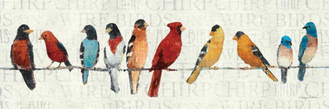 The Usual Suspects - Birds on a Wire White Modern Wood Framed Art Print with Double Matting by Tillmon, Avery