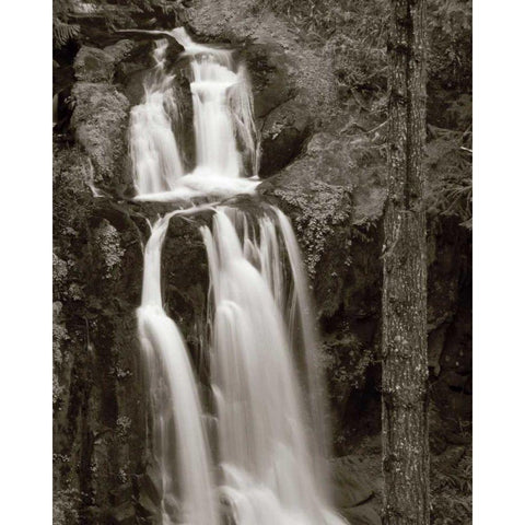 Kentucky Falls Black Modern Wood Framed Art Print by Audit, Lisa