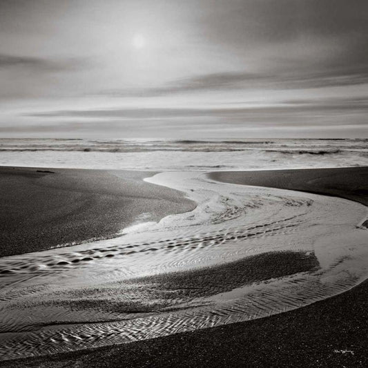 Image Only