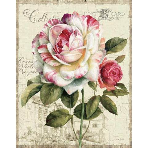 Garden View III - Rose Black Modern Wood Framed Art Print with Double Matting by Audit, Lisa
