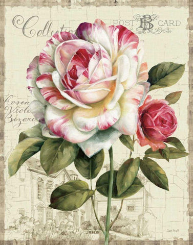 Garden View III - Rose White Modern Wood Framed Art Print with Double Matting by Audit, Lisa