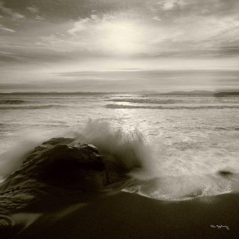 Tides and Waves Square I Gold Ornate Wood Framed Art Print with Double Matting by Audit, Lisa