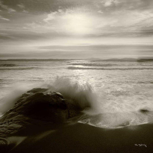 Image Only