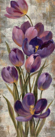 Royal Purple Tulips I Black Ornate Wood Framed Art Print with Double Matting by Vassileva, Silvia