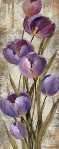 Royal Purple Tulips II White Modern Wood Framed Art Print with Double Matting by Vassileva, Silvia