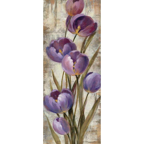 Royal Purple Tulips II Black Modern Wood Framed Art Print with Double Matting by Vassileva, Silvia