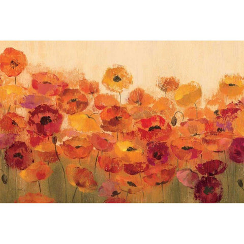 Summer Poppies Gold Ornate Wood Framed Art Print with Double Matting by Vassileva, Silvia