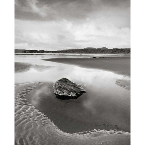 Shi Shi Beach - Low Tide I Black Modern Wood Framed Art Print by Audit, Lisa