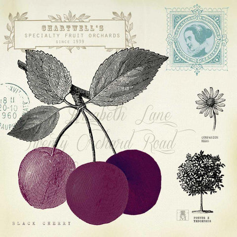 Cherry Notes Black Ornate Wood Framed Art Print with Double Matting by Studio Mousseau
