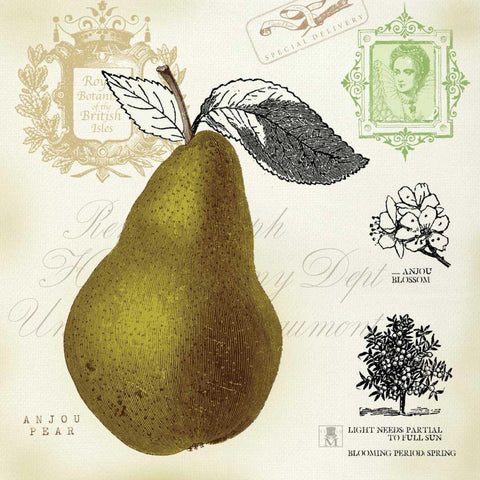 Pear Notes Black Ornate Wood Framed Art Print with Double Matting by Studio Mousseau
