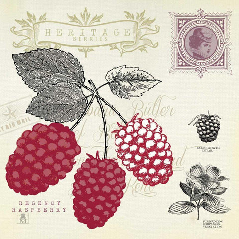 Raspberry Notes Black Modern Wood Framed Art Print with Double Matting by Studio Mousseau