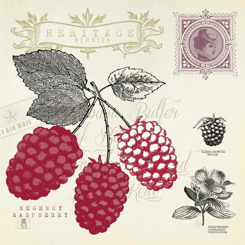 Raspberry Notes Black Ornate Wood Framed Art Print with Double Matting by Studio Mousseau