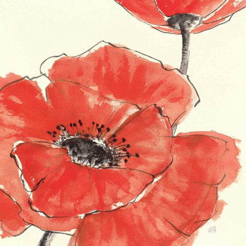 Spring Poppy II Black Modern Wood Framed Art Print with Double Matting by Paschke, Chris