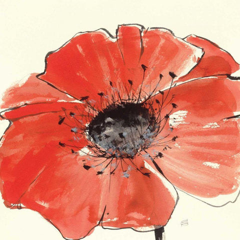 Spring Poppy IV Black Modern Wood Framed Art Print with Double Matting by Paschke, Chris