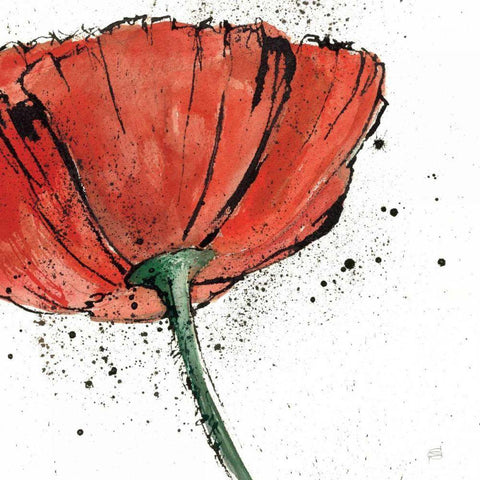 Not a California Poppy on White I White Modern Wood Framed Art Print by Paschke, Chris