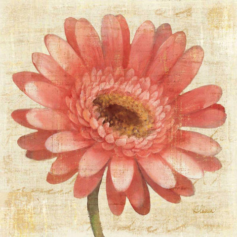 Blushing Gerbera Gold Ornate Wood Framed Art Print with Double Matting by Hristova, Albena