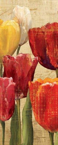 Tulip Fantasy on Cream III Black Ornate Wood Framed Art Print with Double Matting by Hageman, Marilyn