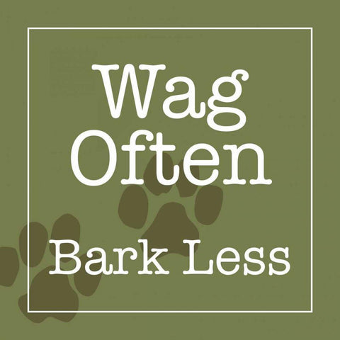 Wag Often - Bark Less Black Modern Wood Framed Art Print by Wild Apple Studio