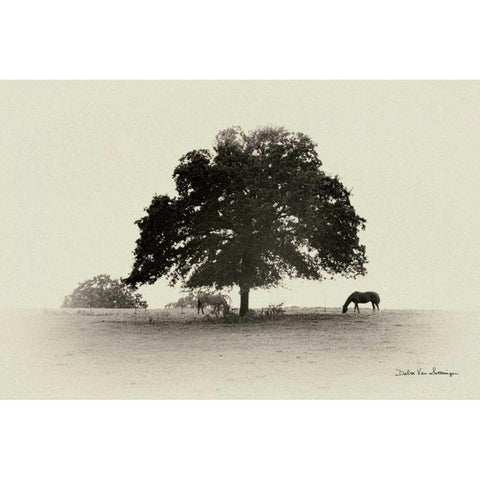 Horses and Trees I White Modern Wood Framed Art Print by Van Swearingen, Debra