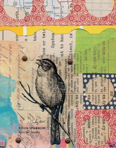 Perched I White Modern Wood Framed Art Print with Double Matting by Prahl, Courtney