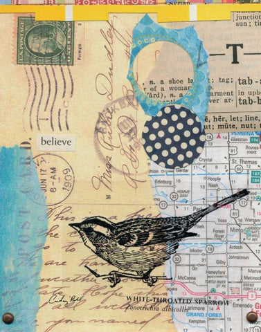 Perched II White Modern Wood Framed Art Print with Double Matting by Prahl, Courtney