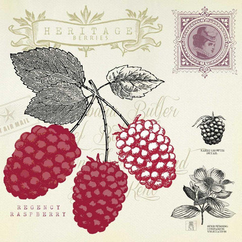 Raspberry Notes Black Ornate Wood Framed Art Print with Double Matting by Studio Mousseau
